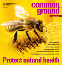 Alternative Magazines - Underground Newsletters