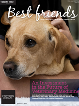 PDF Magazines - Pet and Horse Magazines Free